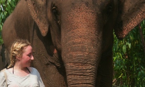 Wildlife Conservation and Teaching Abroad in Asia