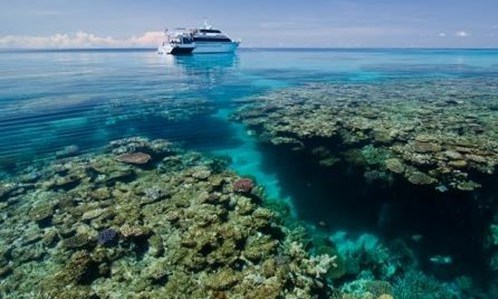 Help Me Save the Reef! Great Barrier Reef Conservation Inter