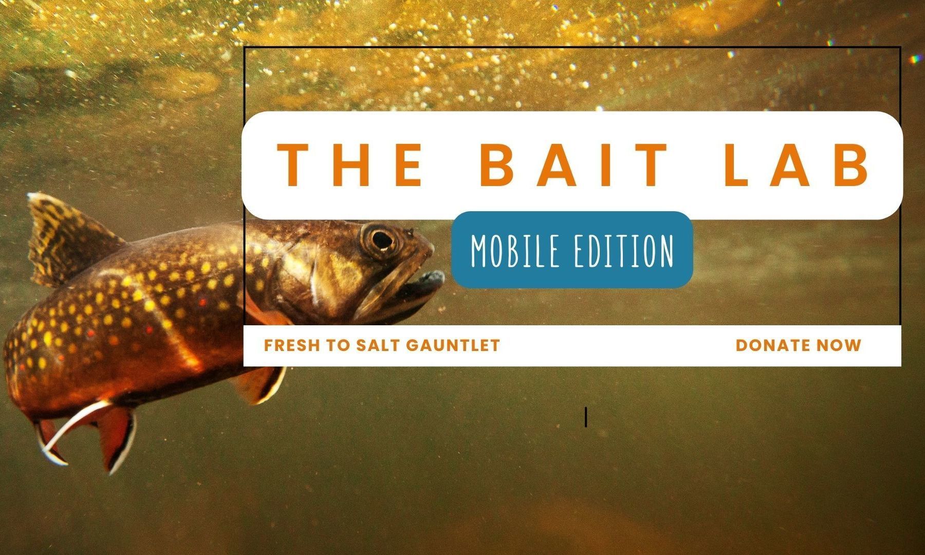 East Coast Fresh 2 Salt Gauntlet