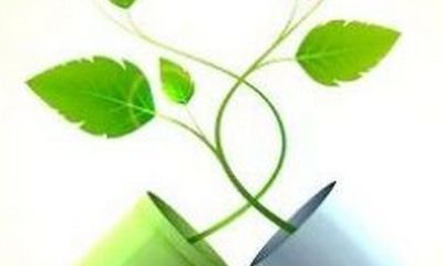 Order Vyvanse Health Aid