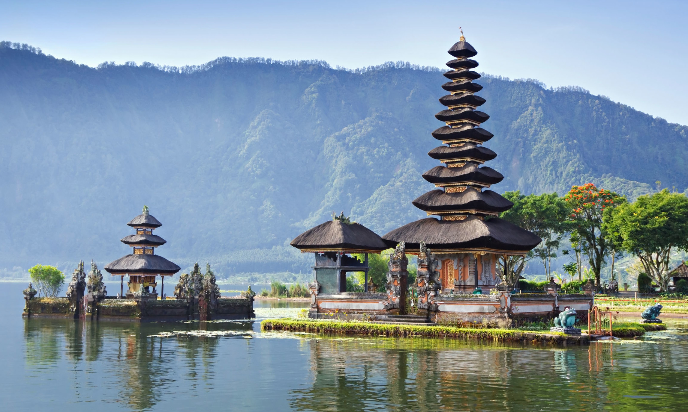 Mental Health Volunteer, Bali. 