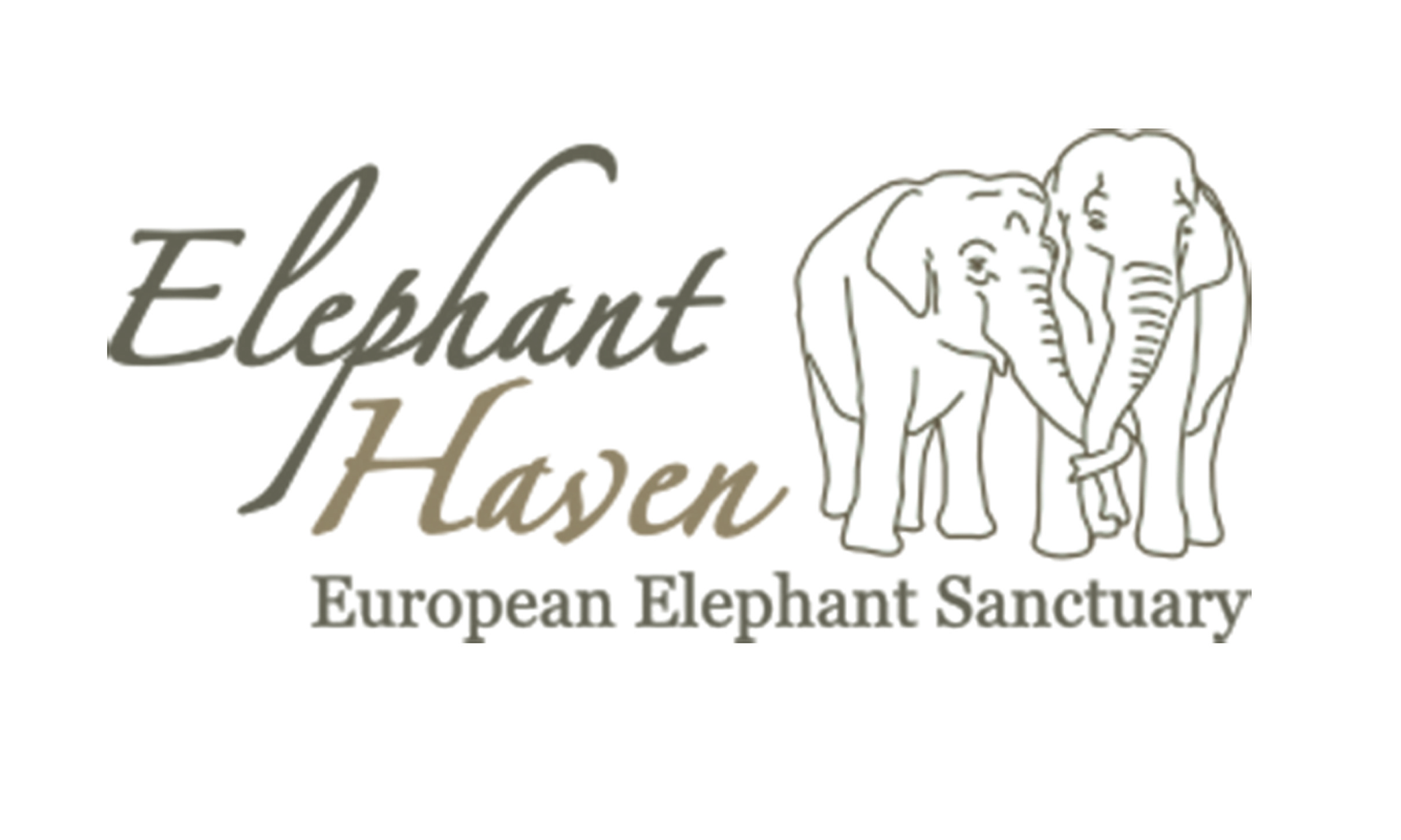 Help create a haven for our elephants!