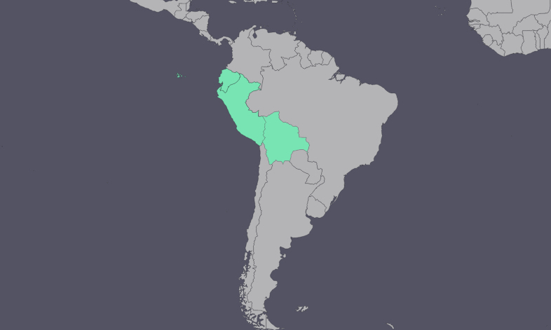 Women's Reproductive Rights Research in S. America