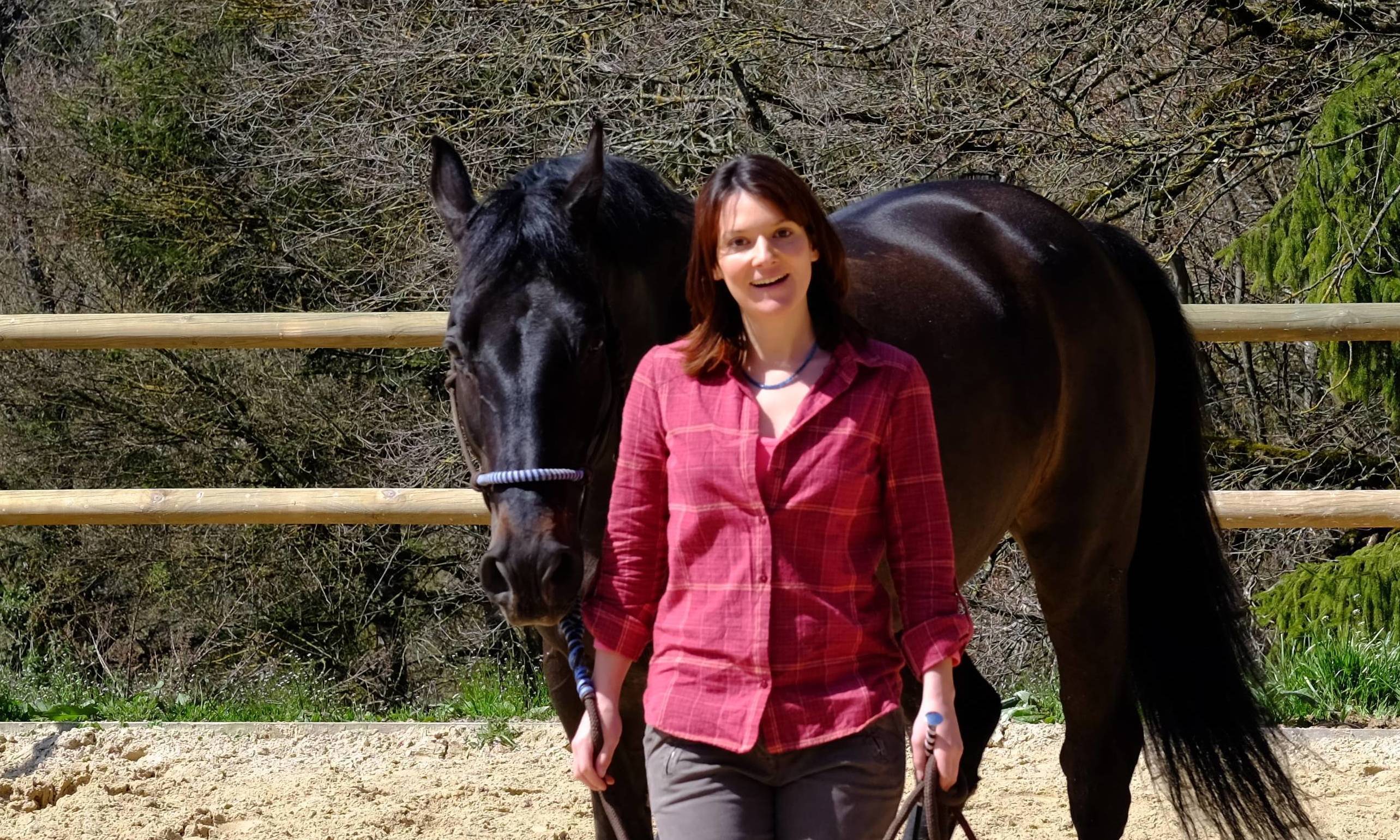 Equine therapy program for disabled children