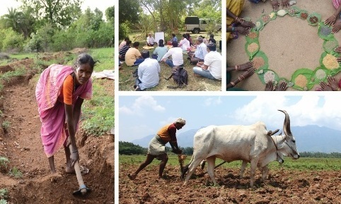 Click here to help Indian farmers with Permaculture.