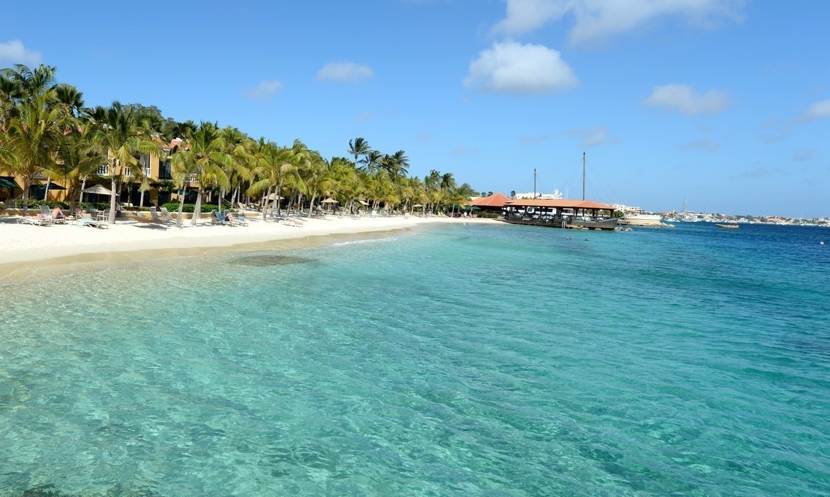 Let's Get Alondra To Bonaire!