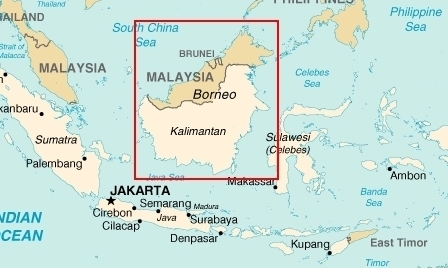 My school trip to Borneo