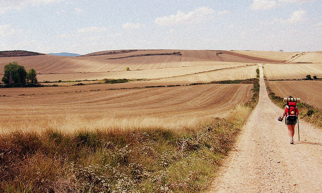 Journey with Meghan on El Camino