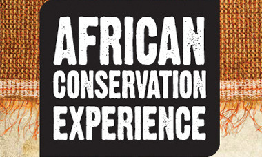 Care for Africa, Volunteer experience!
