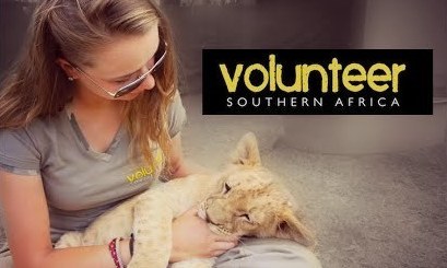 Living with Big Cats Project Experience