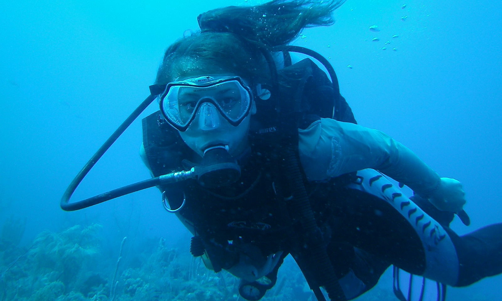 Let's talk BONAIRE -marine biology study abroad program!