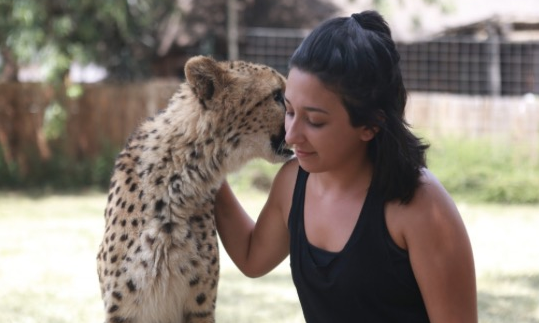Volunteering to live with the Big Cats!
