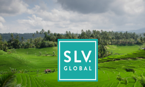 SLV Global Mental Health Placement