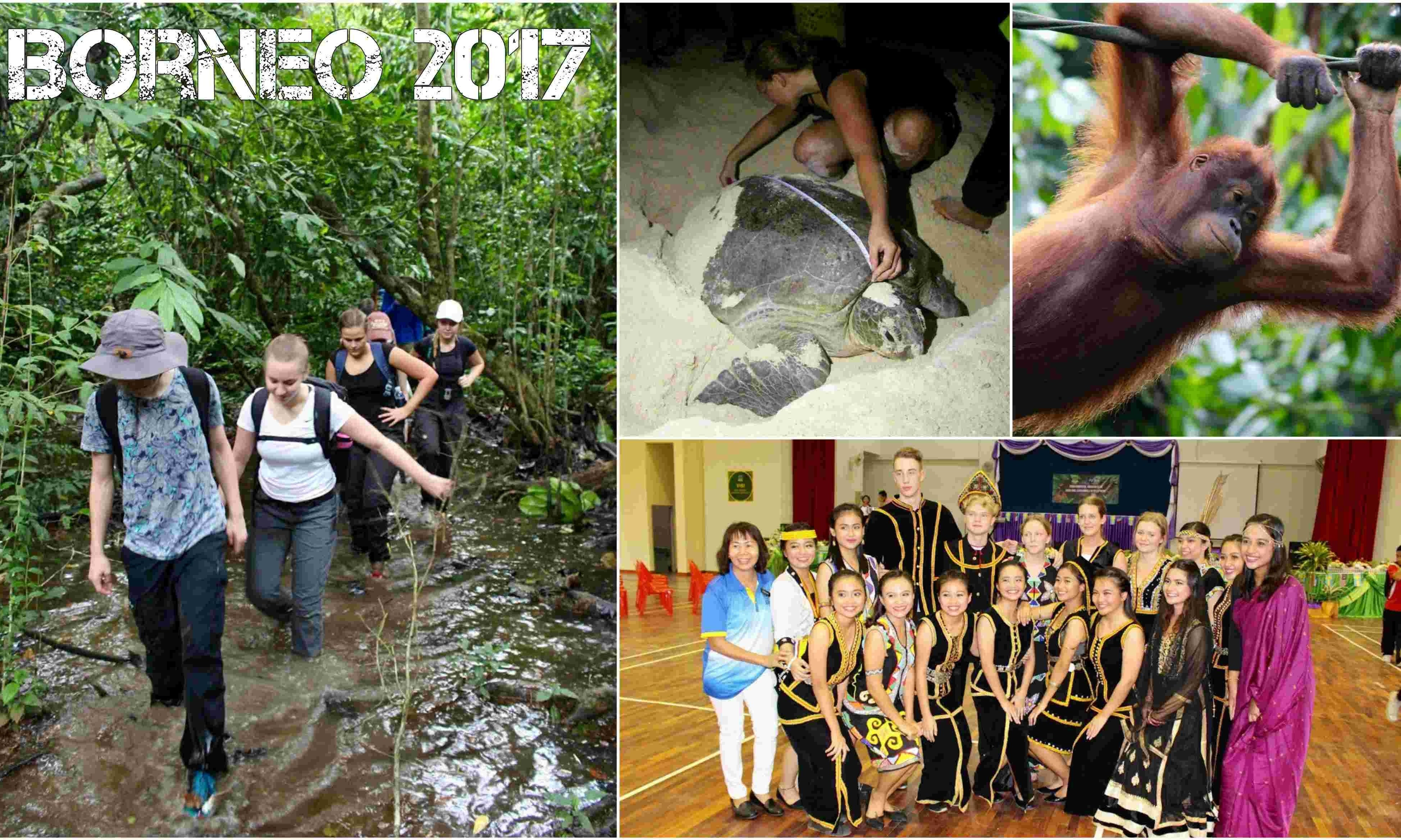 Natural science & international relations project in Borneo