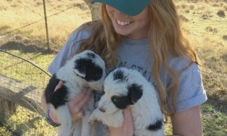 Vet Volunteering in South Africa