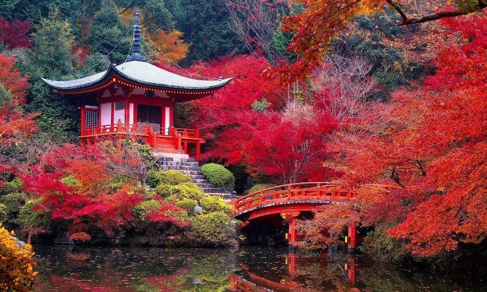 Take Me To Kyoto! 