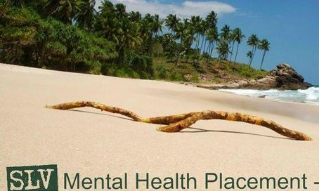 SLV Global Mental Health Placement!!