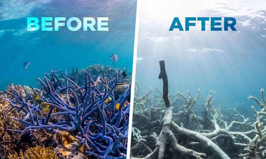 Save the great barrier reef fundmytravel