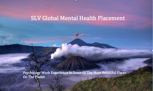 SLV Mental Health Placement in Bali!