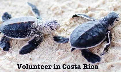 Costa Rica and Cape Town Volunteering 2018!