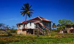  Guyana mission : feeding homless children .