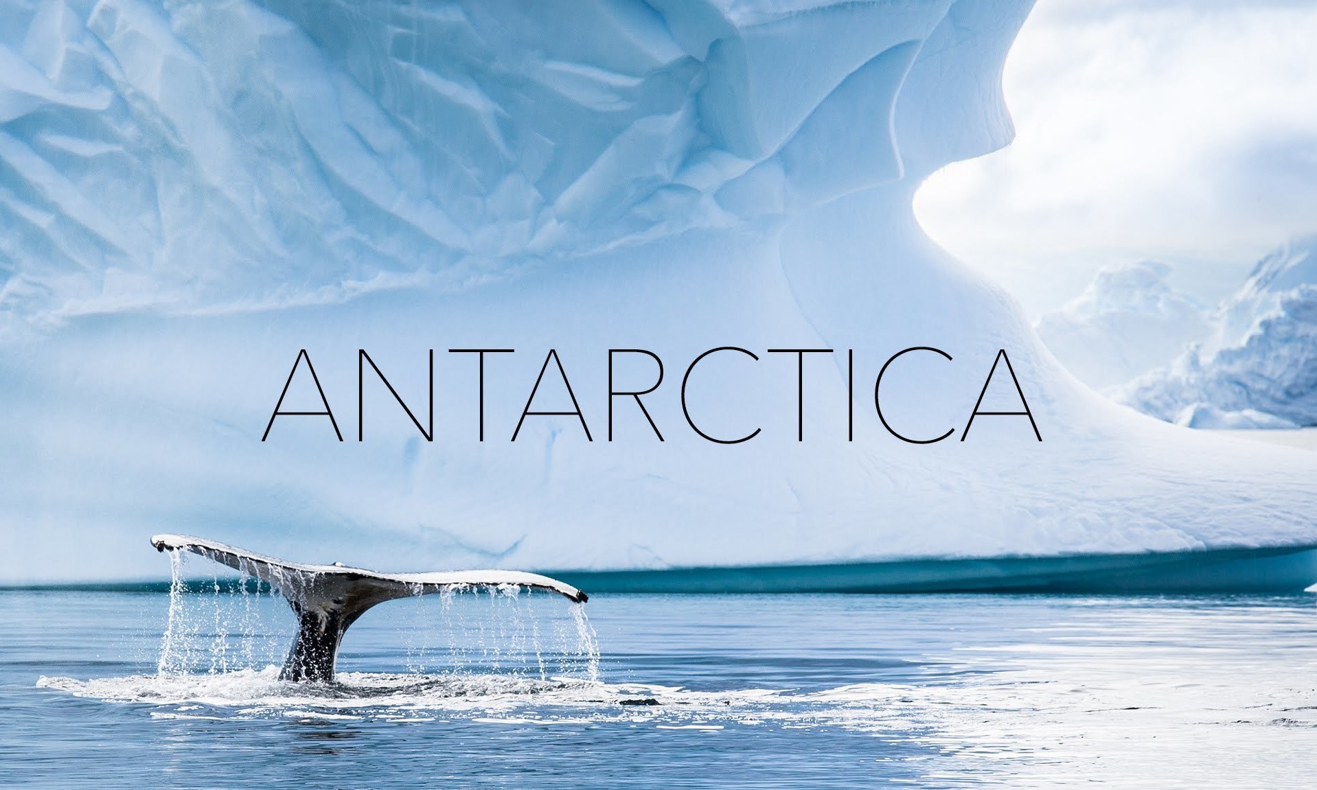 Help Me to Get A Lifetime Trip to Antarctica 