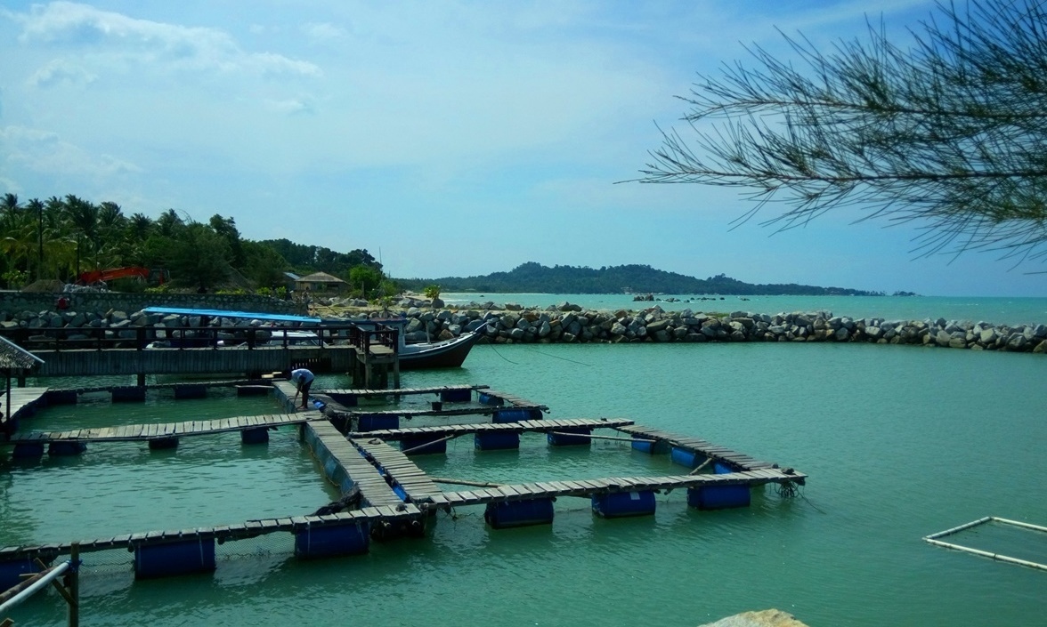 Sea Turtle Monitoring at Bangka Island, Indonesia