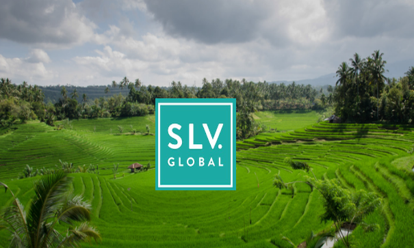 SLV.Global mental health work placement