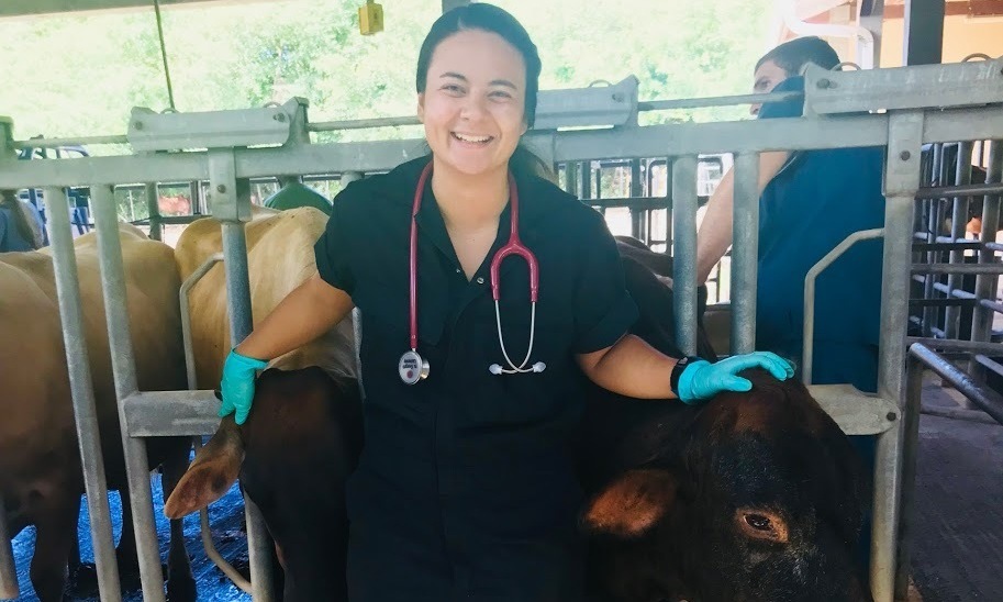 Ashley's South African Veterinary Adventure!!