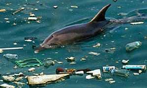 Save the planet against plastic pollution