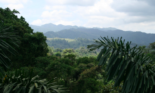 Helping  install solar panels on remote Costa Rica school