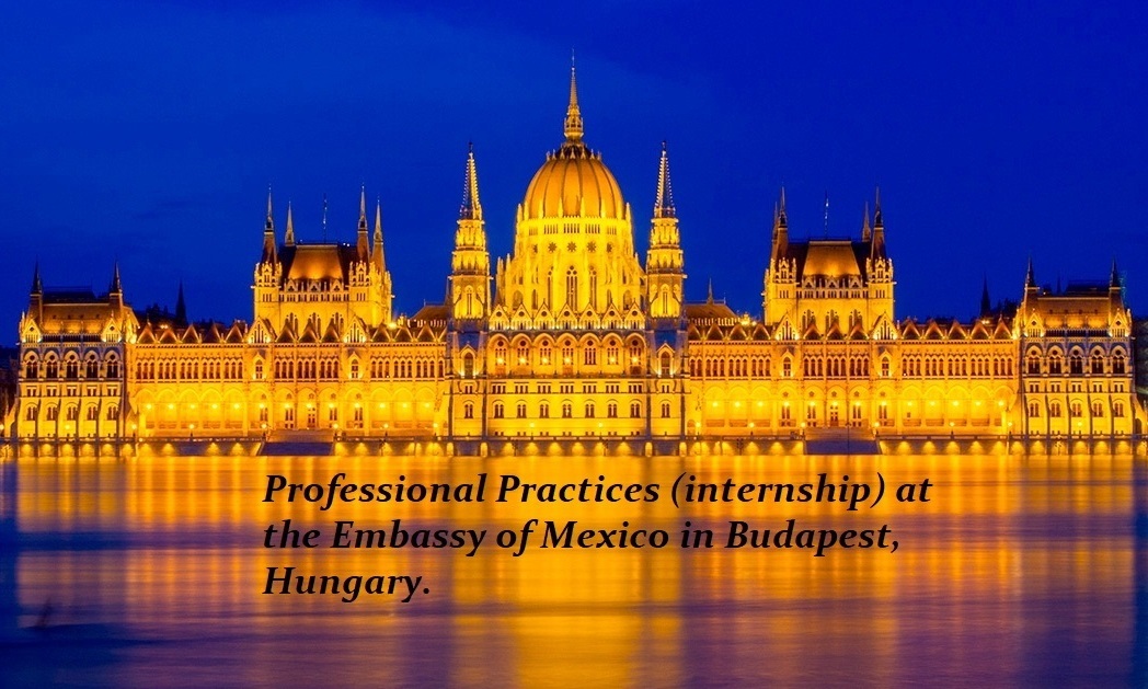 My internship in Budapest, Hungary