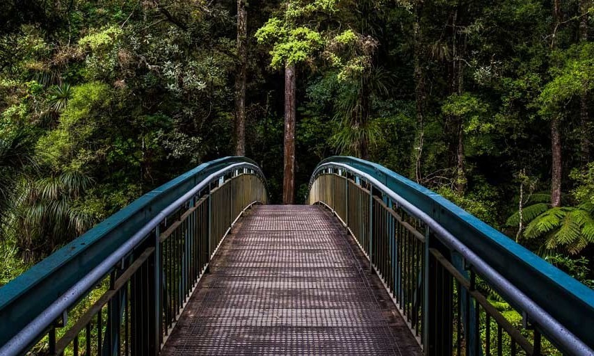 Volunteer in New Zealand 'The land of the long white cloud'