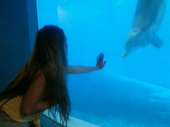 Send Kayla to a Marine Biology Internship of a Lifetime
