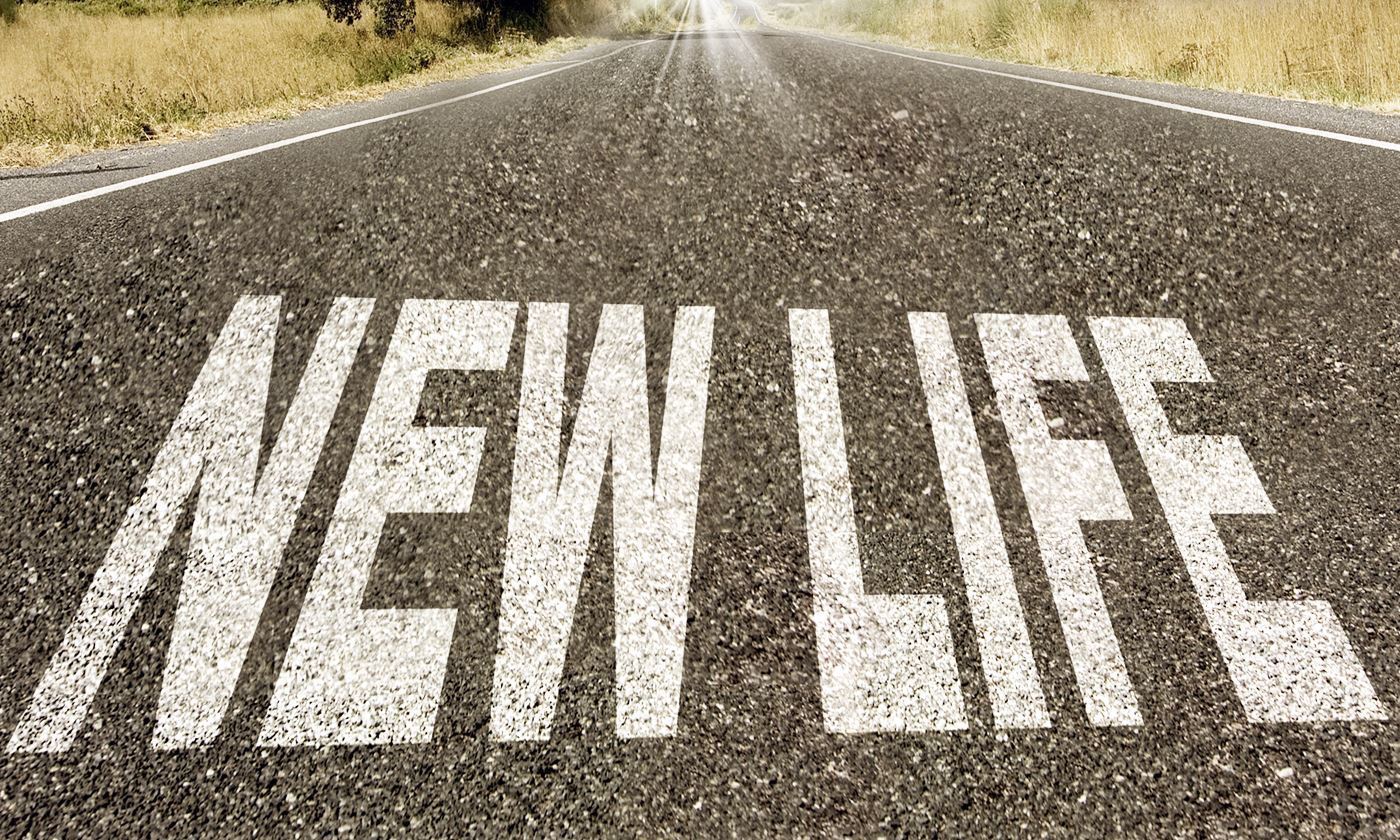 New life картинки