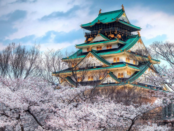 Send Danny K. to learn Japanese in Japan!