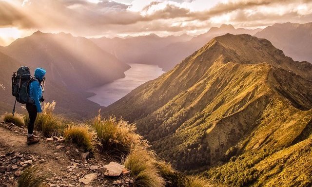Lifetime  trip to New Zealand 