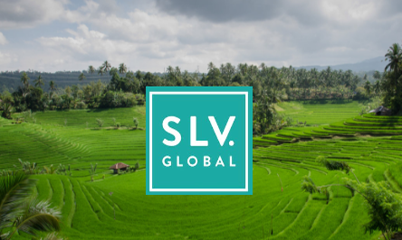 SLV Mental Health Placement in Bali