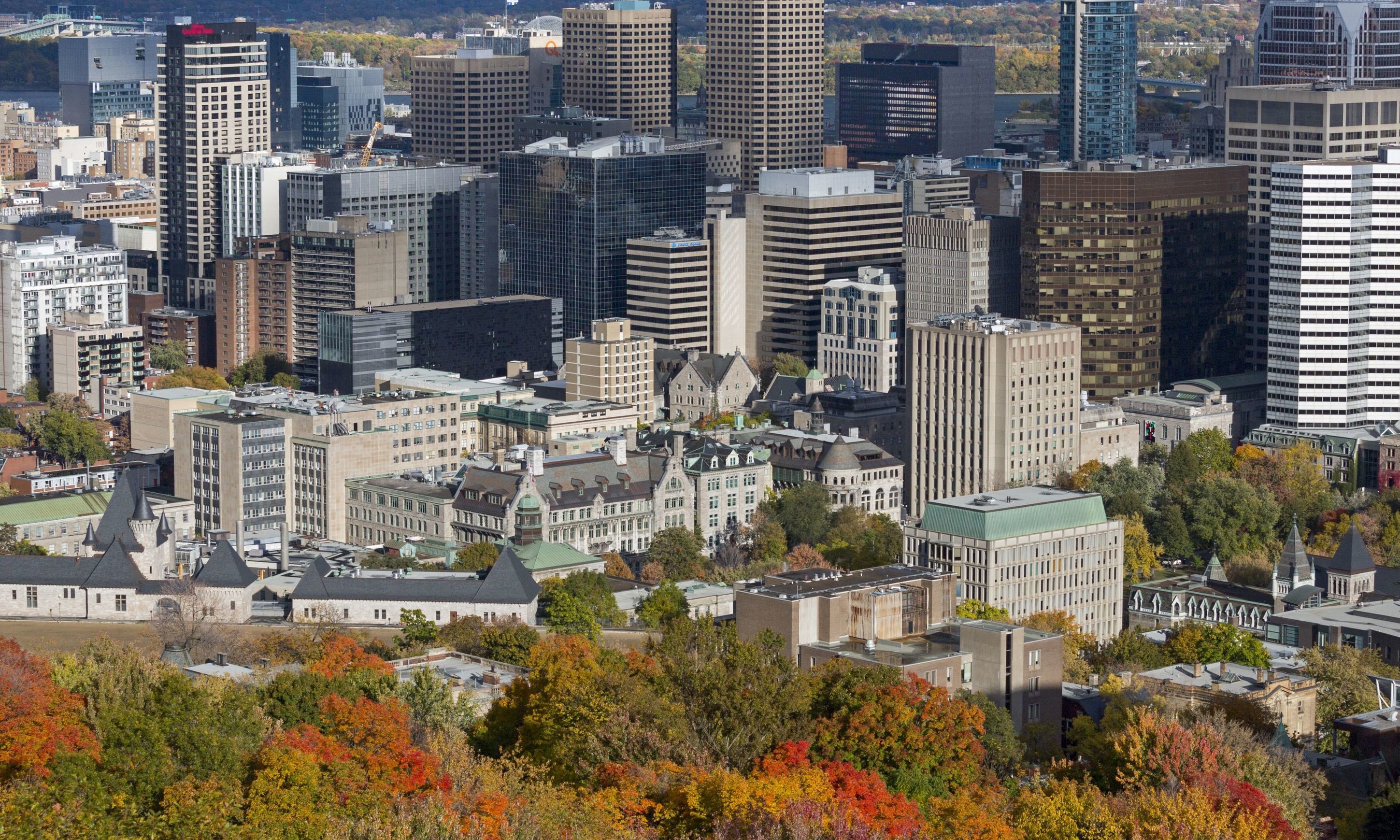 Honeymooning in Montreal