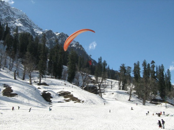 Dream of Watching Live Snowfall