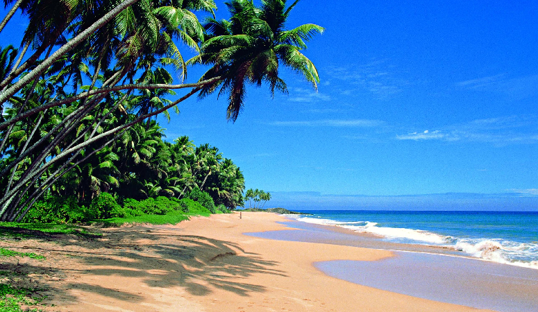 Help send Claire to Sri Lanka!