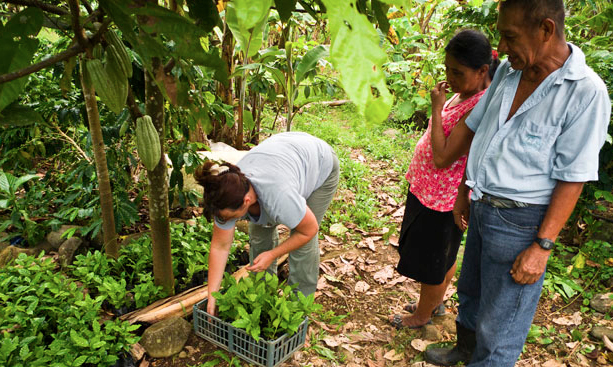 Eco Agriculture Conservation in Costa Rica