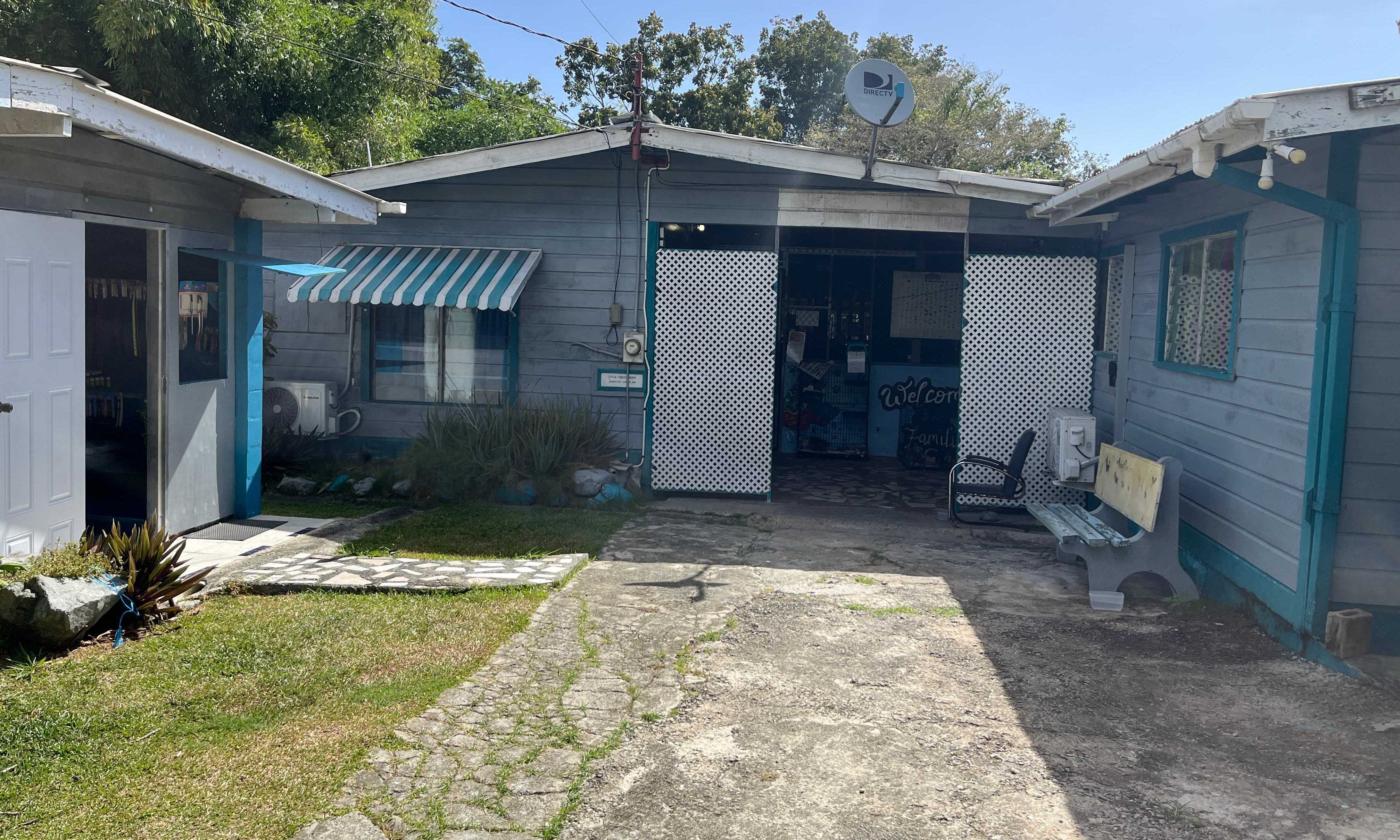 Volunteering in Tobago:   Working with rescue animals