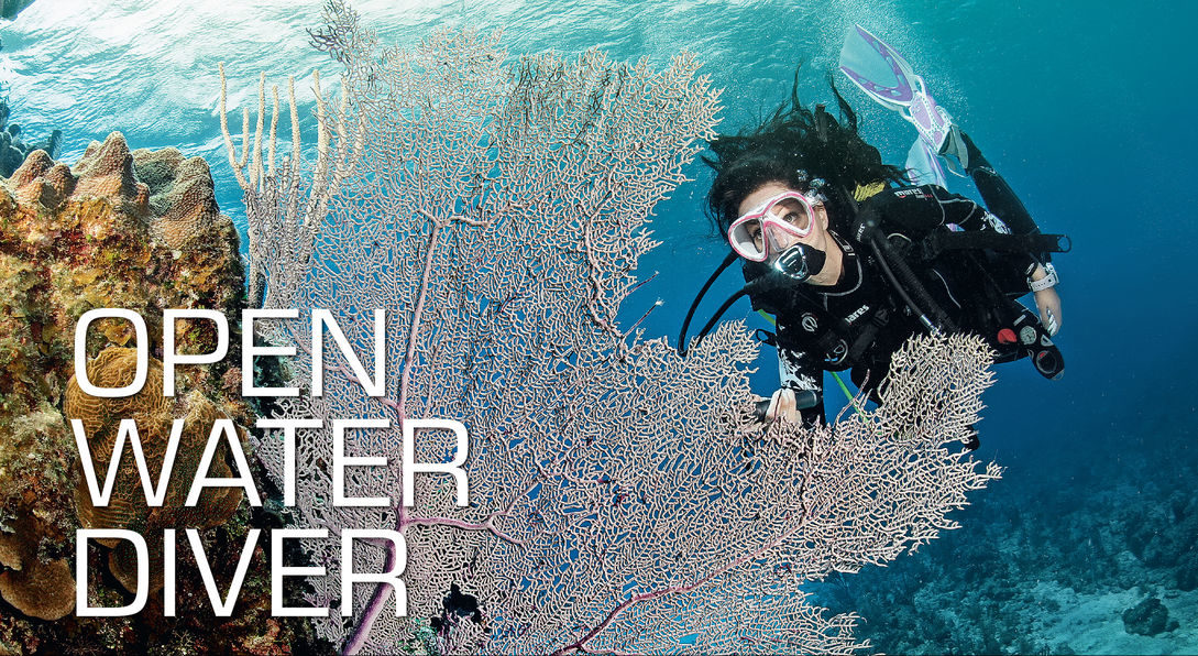 IT'S OFFICIAL! I AM NOW A CERTIFIED OPEN WATER DIVER!