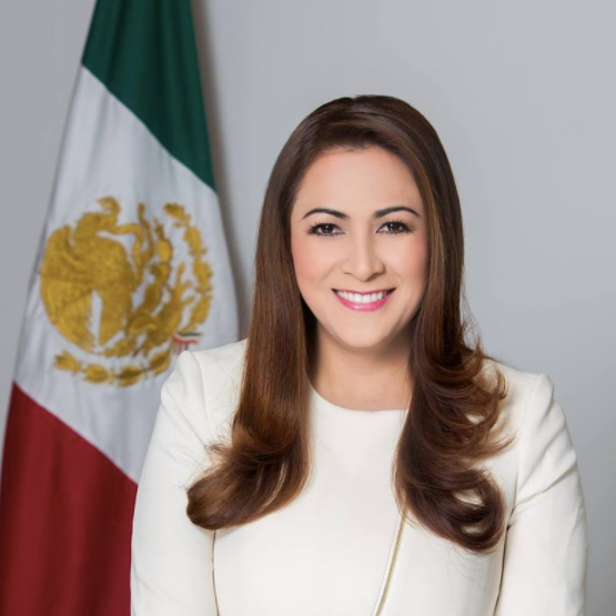 Alcaldesa de la Cd. de Aguascalientes. Lic. Tere Jiménez