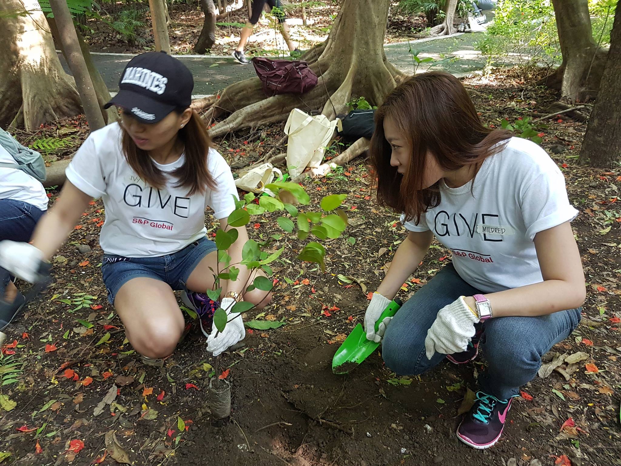 Tree Planting Activities