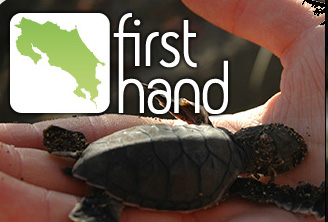 Explore First Hand Costa Rica  (German Organization)