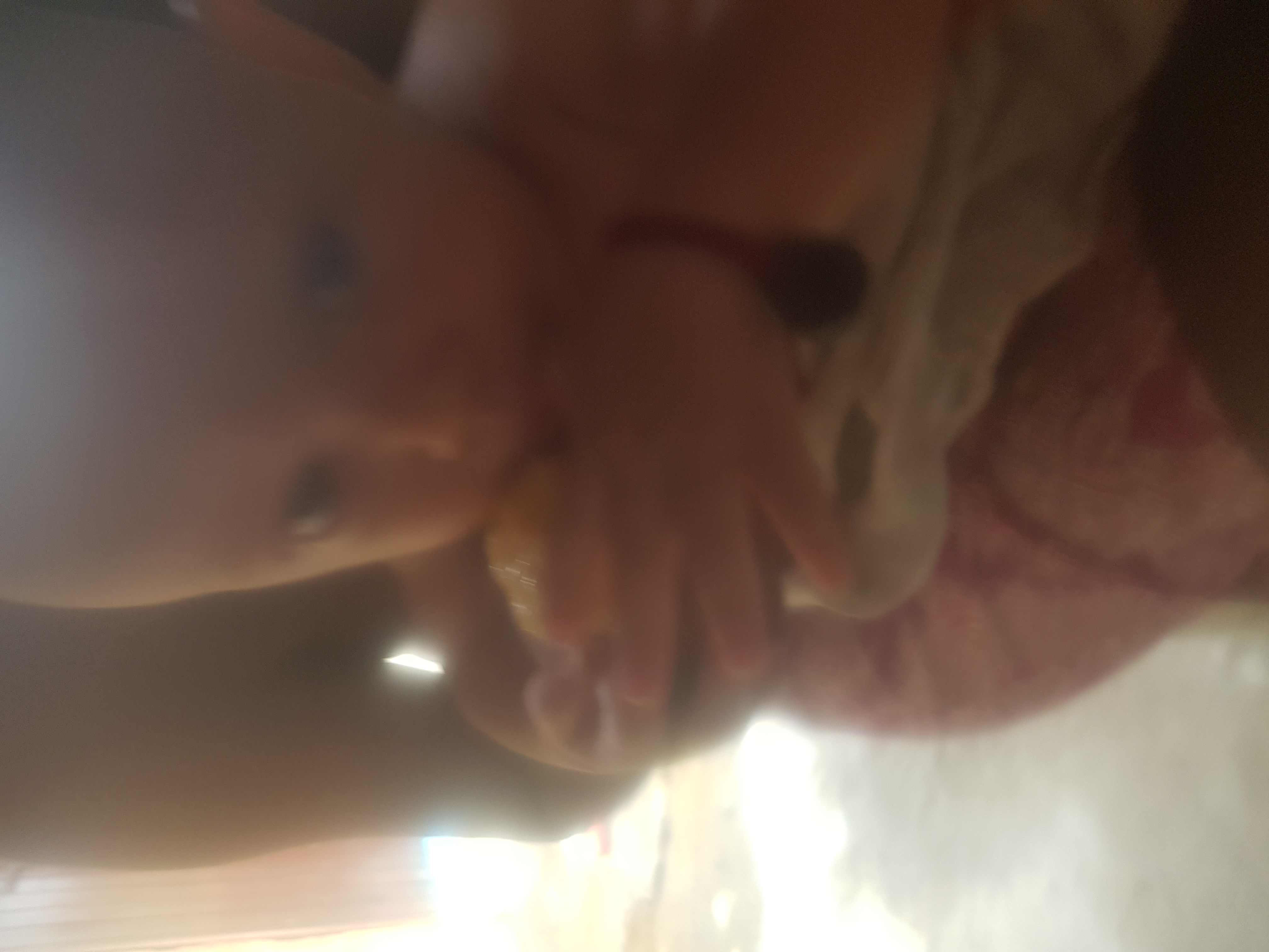 Arky's First Solid Food! A Traditional Mexican Favourite!