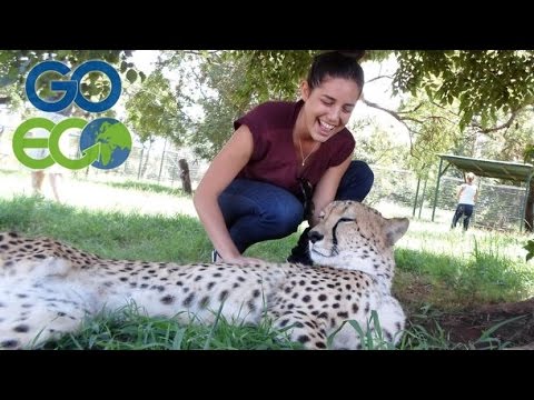 Mother&daughter saving the animals