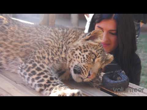 Volunteering at a Wildlife Sanctuary in South Africa